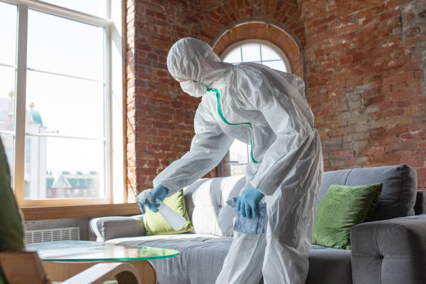 Reliable Richmond, CA Mold Removal & Remediation Solutions